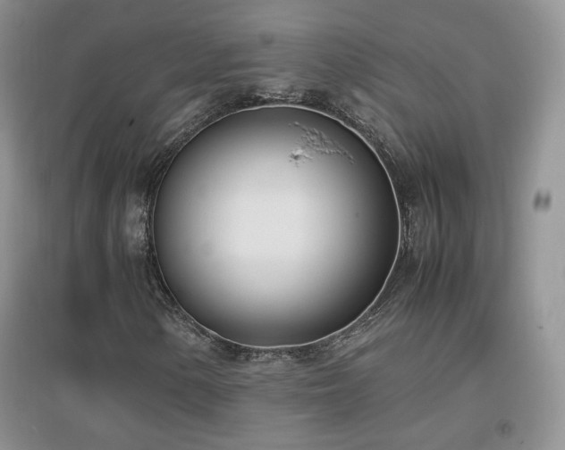 X0000096961154200802081224