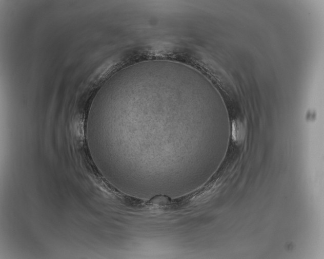 X0000096961155200802081224
