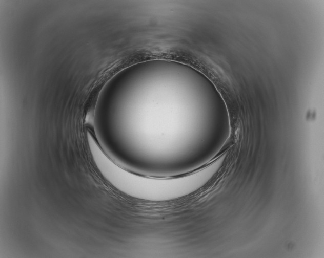 X0000096961156200802081224
