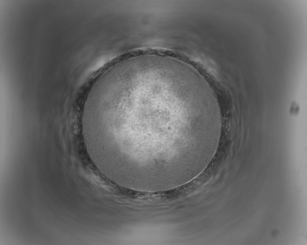 X0000096961159200802081224