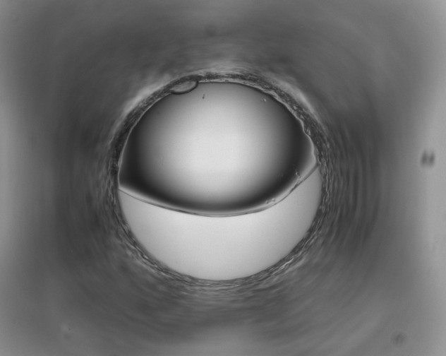X0000096961160200802081224