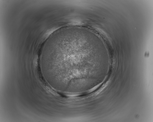 X0000096961161200802081224