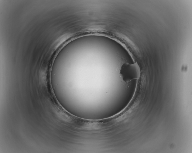 X0000096961162200802081224