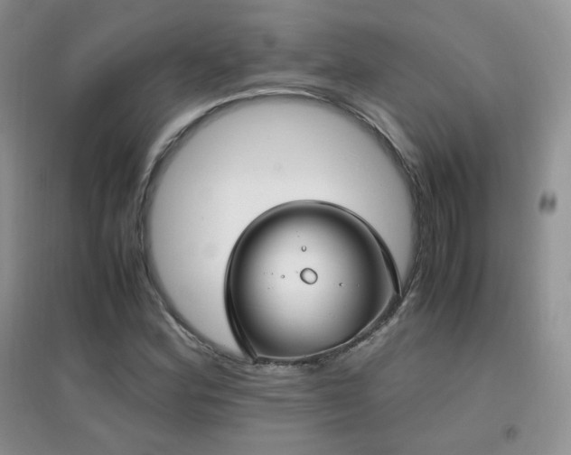 X0000096961164200802081224