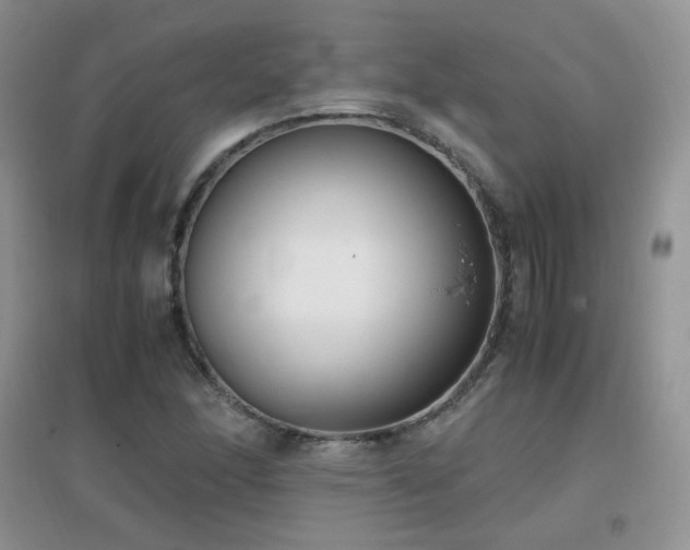 X0000096961166200802081224