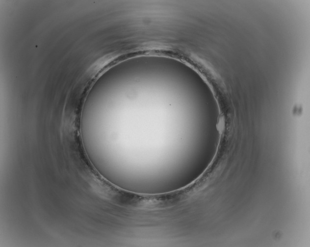X0000096961169200802081224