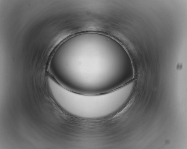 X0000096961170200802081224
