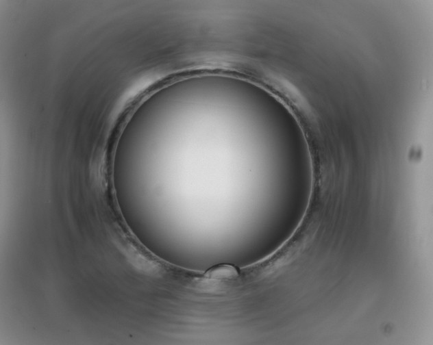 X0000096961172200802081224