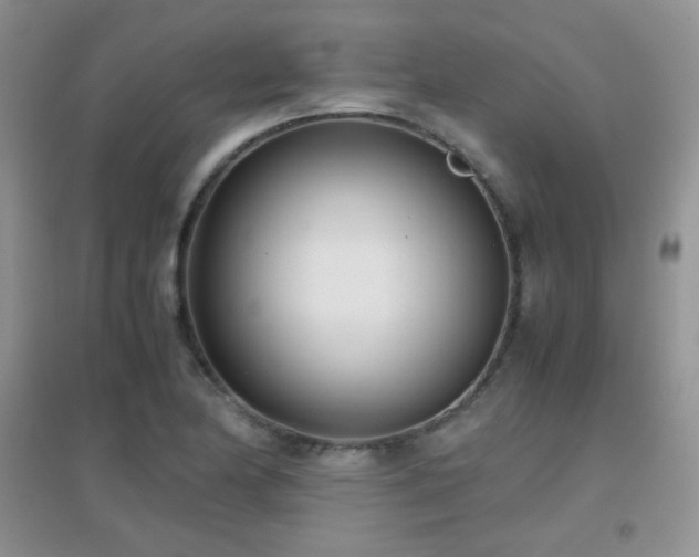 X0000096961174200802081224