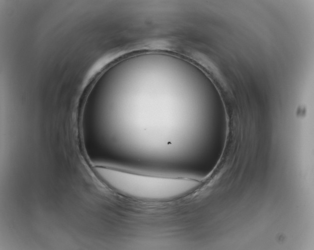 X0000096961176200802081224