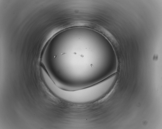 X0000096961178200802081224