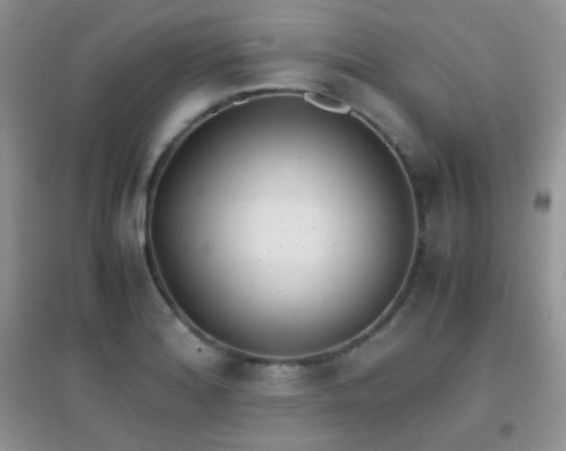 X0000096961180200802081224