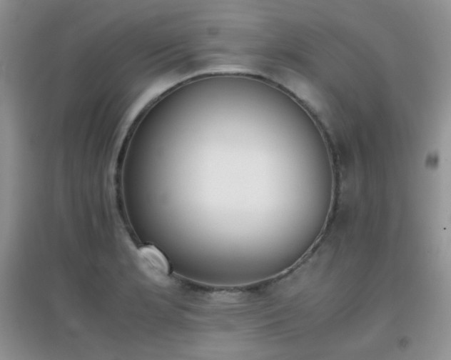 X0000096961181200802081224
