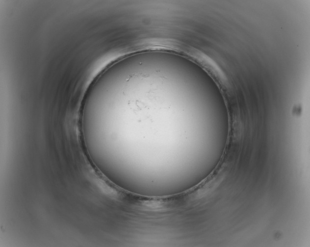 X0000096961182200802081224