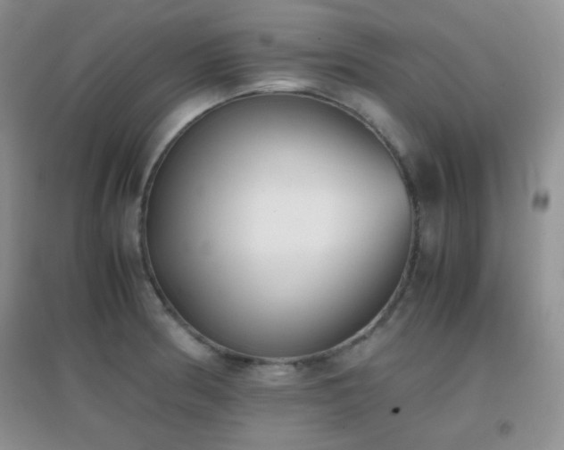 X0000096961186200802081223