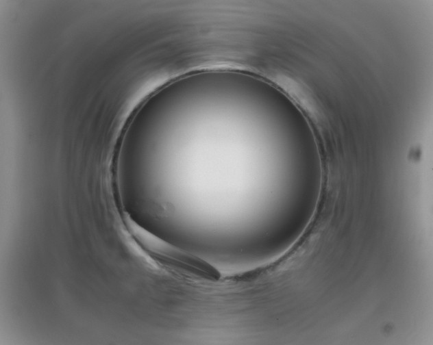X0000096961189200802081223