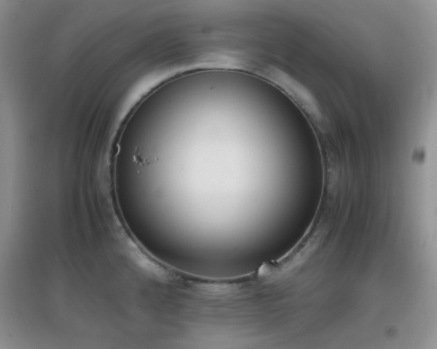 X0000096961192200802081223