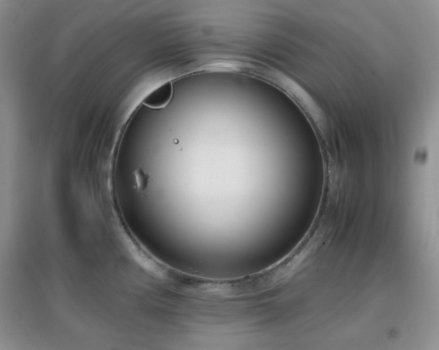 X0000096961194200802081223