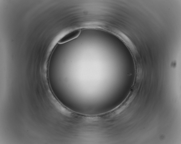 X0000096961196200802081223