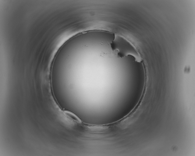 X0000096961200200802081223