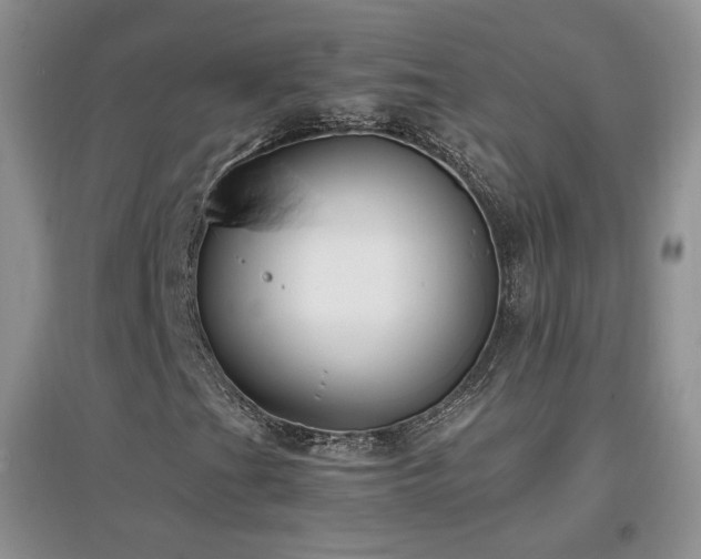 X0000096961201200802081223