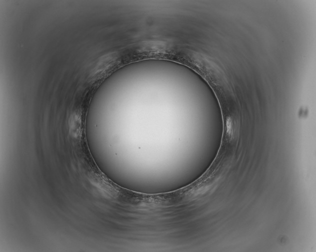 X0000096961203200802081223
