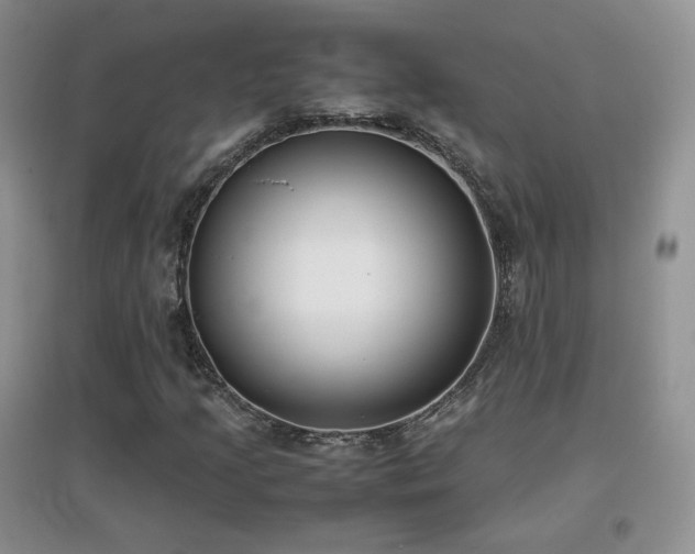 X0000096961205200802081223