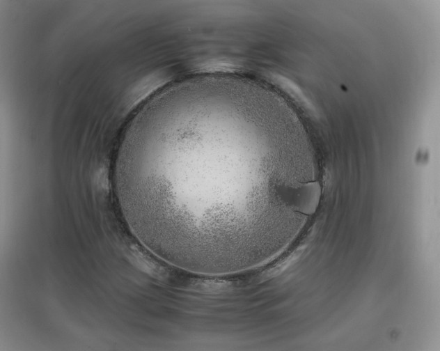 X0000096961209200802081223