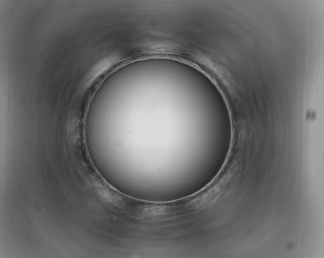 X0000096961211200802081223