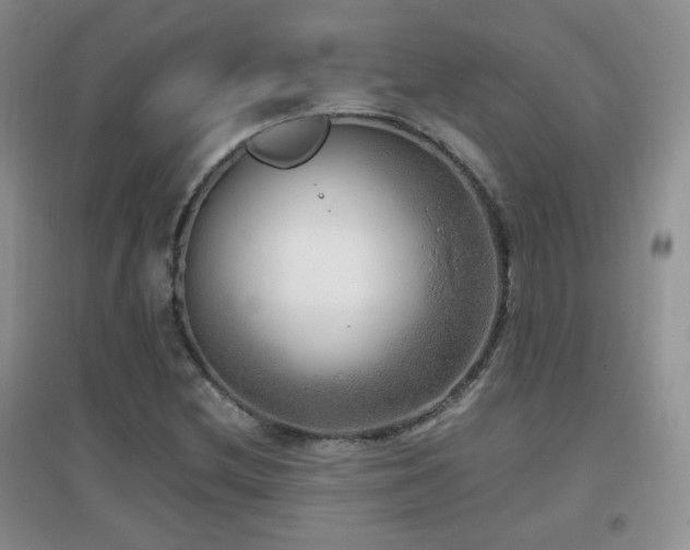 X0000096961212200802081223