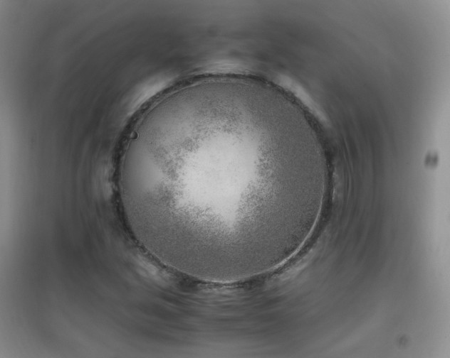 X0000096961213200802081223