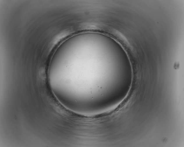 X0000096961218200802081223