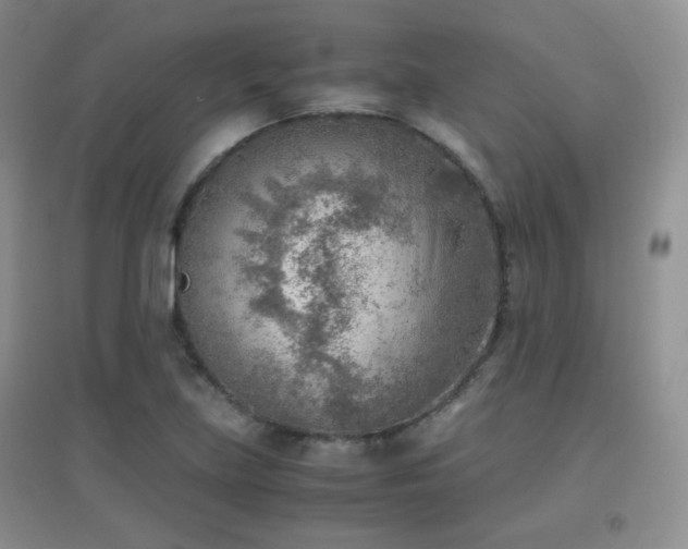 X0000096961219200802081223