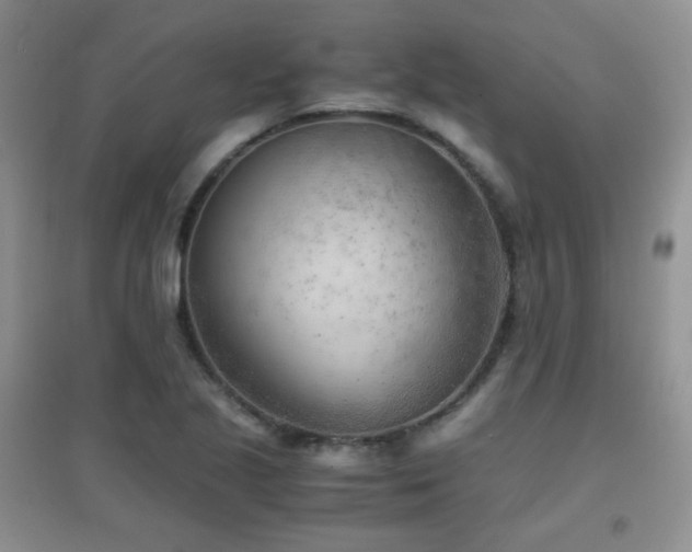X0000096961221200802081223