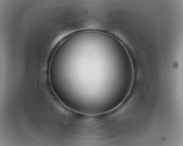 X0000096961222200802081223