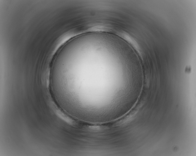 X0000096961227200802081223