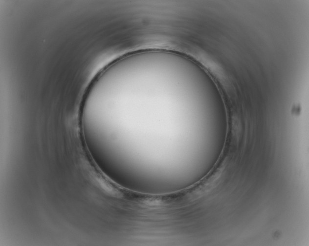 X0000096961230200802081223