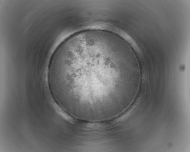 X0000096961232200802081223