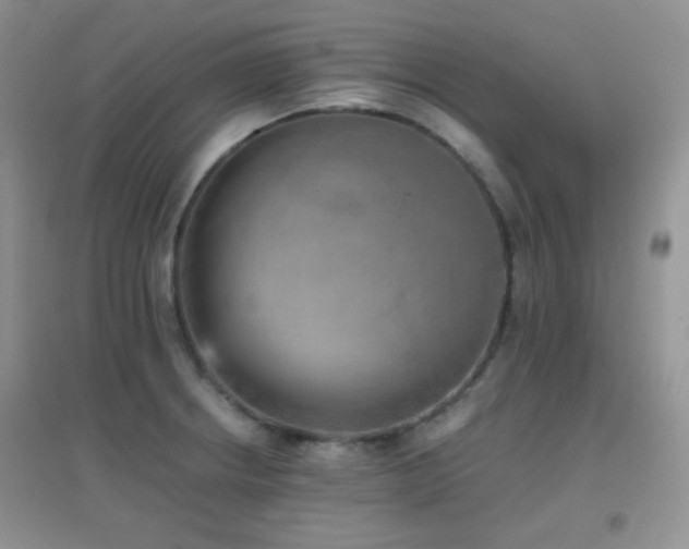 X0000096961234200802081223