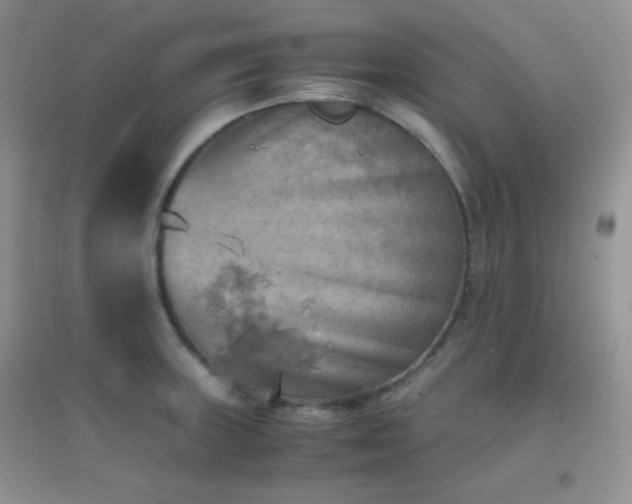 X0000096961235200802081223
