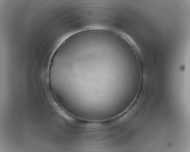 X0000096961236200802081223