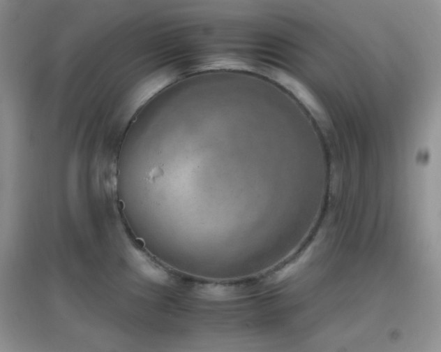 X0000096961241200802081223
