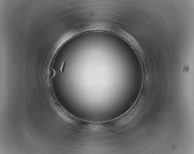 X0000096961242200802081223