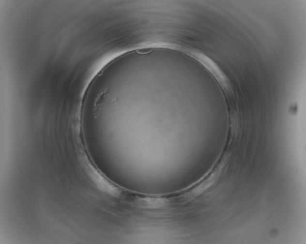 X0000096961244200802081223