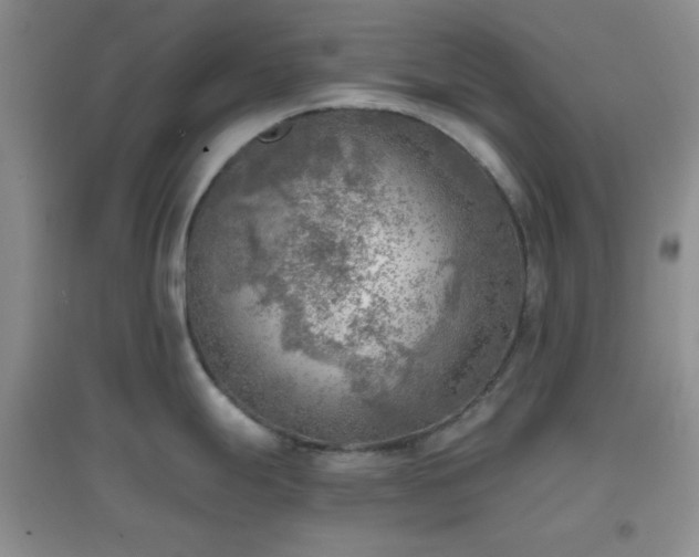 X0000096961247200802081223