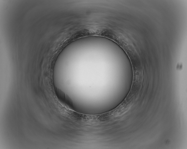 X0000096961249200802081223