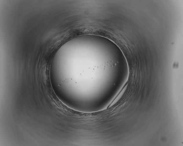 X0000096961250200802081223