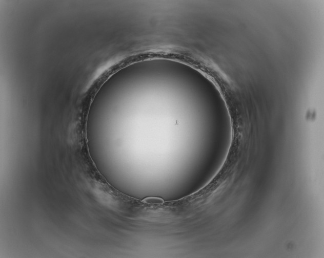 X0000096961256200802081222