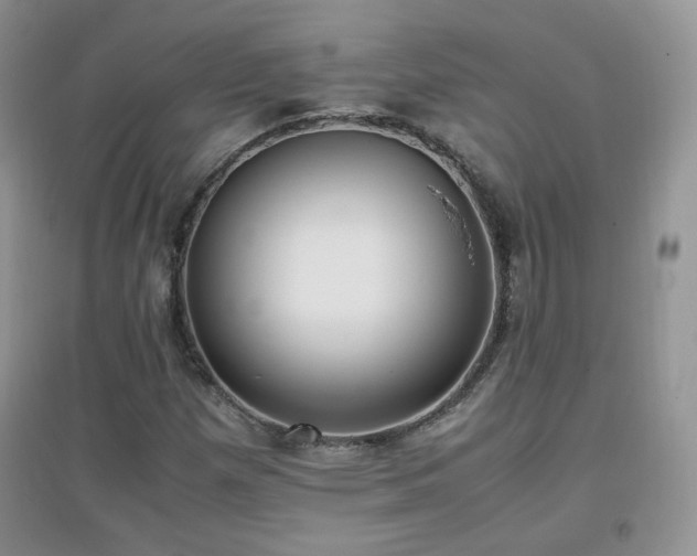 X0000096961257200802081222