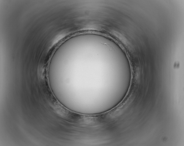 X0000096961258200802081222